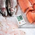 testo174t-002