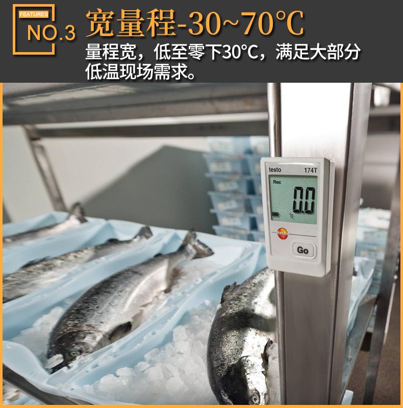 testo_174T-5.jpg